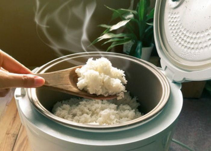 3 Merek Rice Cooker Terbaik Tahun 2024 yang Cocok Untuk Anak Kost, Harga Terjangkau!