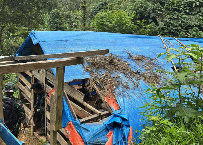 Kemenhut Bongkar 31 Tenda PETI di TNGHS