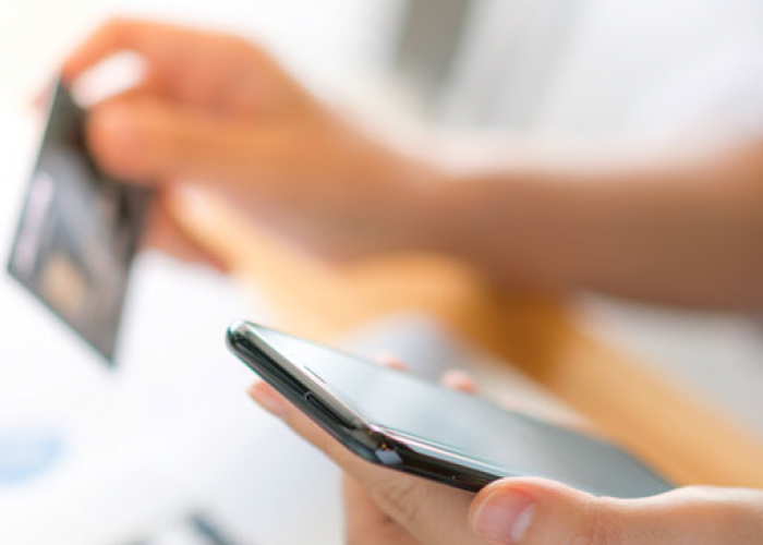 Bukan BI Checking Lagi, Begini Cara Cek Utang Online lewat Internet