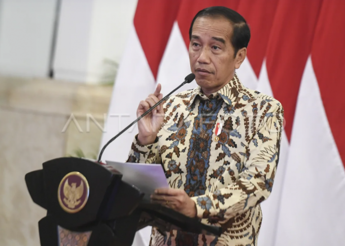 Jokowi Bocorkan Isi Pertemuan Dengan Surya Paloh: Politik, 2024