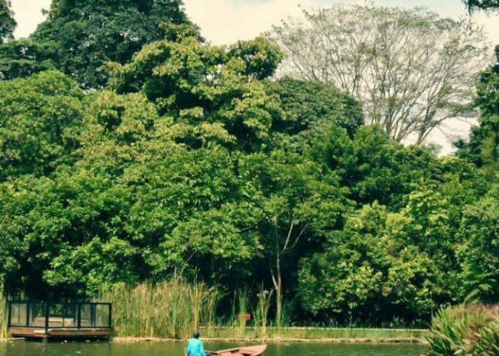 5 Wisata di Bogor Dekat dengan Jakarta: Menikmati Keindahan Alam dan Budaya