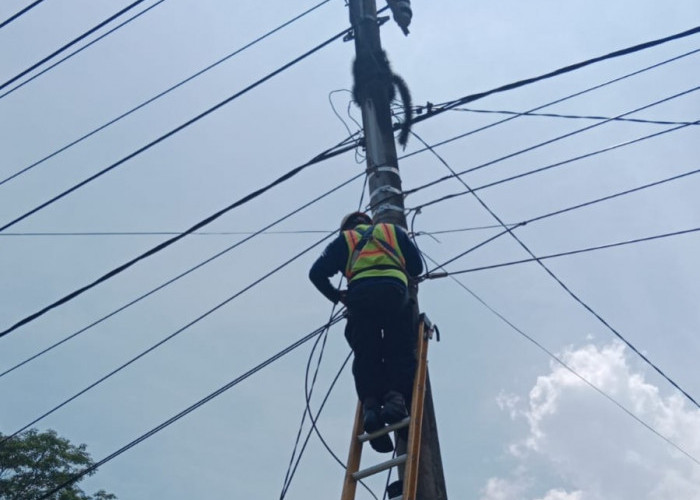 Jaga Jaringan Pangandaran, Aksi Nyata PLN Icon Plus Bikin Layanan Makin Stabil untuk Wisatawan