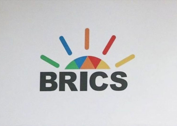 Indonesia Resmi Bergabung dengan BRICS, Peluang Besar untuk Ekonomi dan Investasi