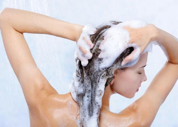 5 Rekomendasi Shampoo Anti Ketombe Terbaik dan Terbukti Solusi Praktis untuk Masalah Ketombe dan Rambut Rontok