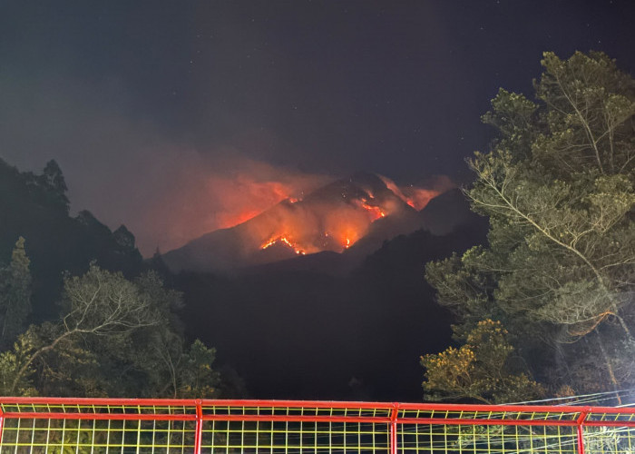 Karhutla Gunung Lawu dan Sumbing, Gubernur Ahmad Luthfi Terus Upayakan Pemadaman