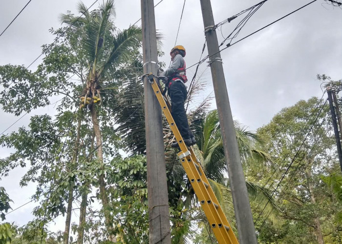 Dari Cikatomas untuk Konektivitas Andal, PLN Icon Plus Perkuat Penataan Infrastruktur Jaringan