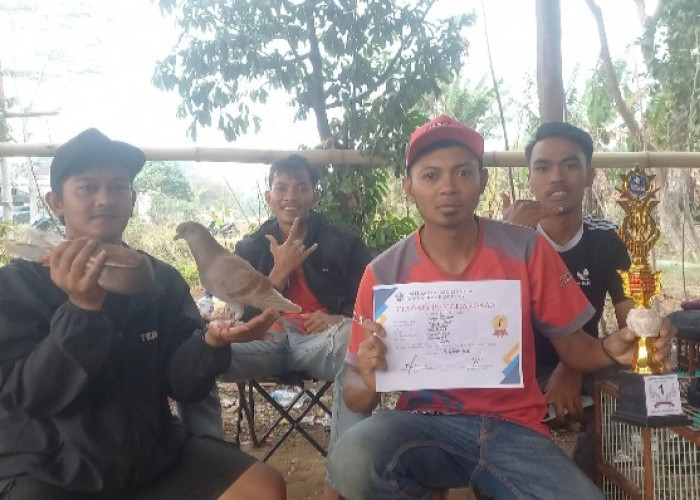 Nagabonar Kembali Menggila, Tumbangkan Bupor di Lomba Merpati Tinggi Lapak CMD Linggar