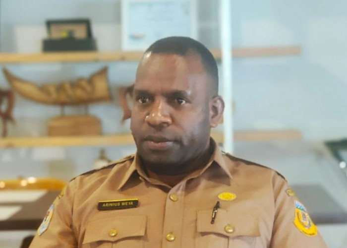 Dinkes Papua Minta Puskesmas Lakukan Sosialisasi Bahaya ISPA ke Masyarakat