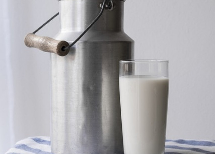 5 Manfaat Susu Kambing untuk Kesehatan Tubuh! Bisa Menjaga Sistem Pencernaan?   