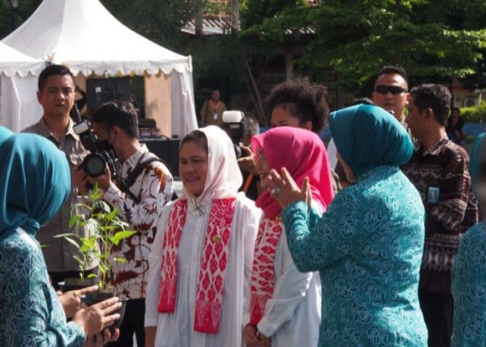Ibu Negara Iriana Jokowi Buka Gerakan Tanam Cabai Serentak Se-Indonesia di Bogor