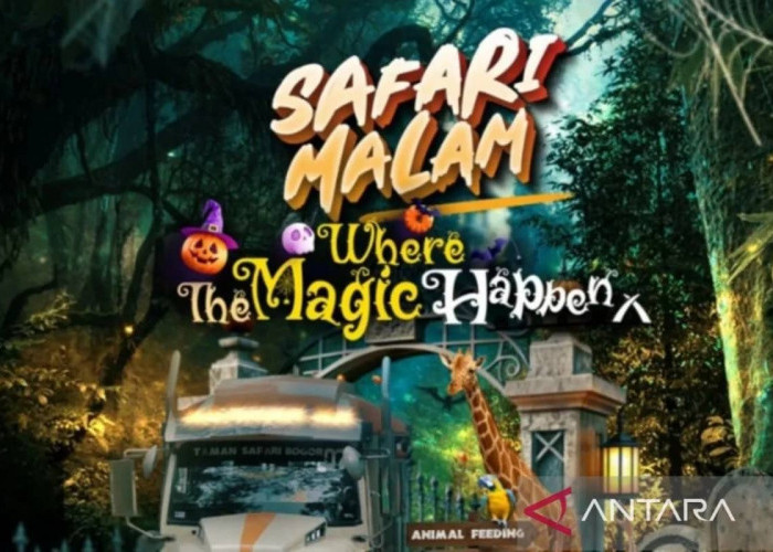 Taman Safari Bogor Tutup Edisi Khusus Halloween 2024 Hari Ini