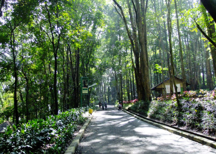 Taman Safari Tahura Banten, Dispar Sebut Pembangunan Akan Habiskan Dana Capai Rp1 Triliun