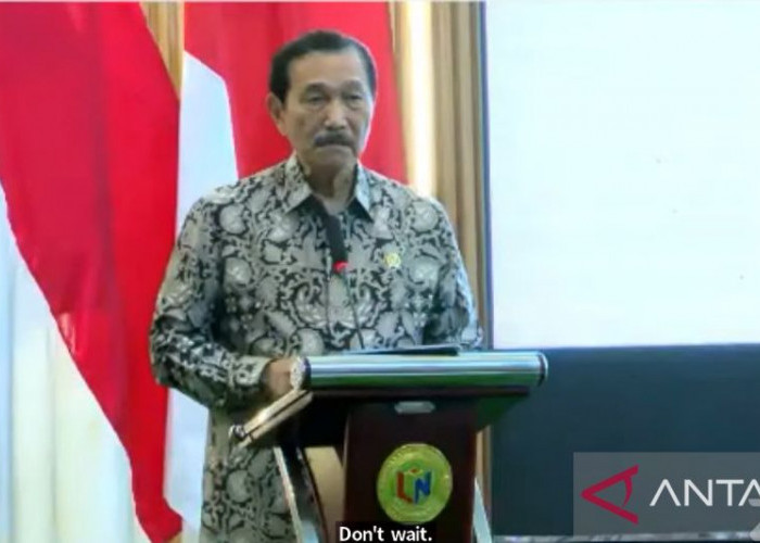 Luhut Nyatakan Indonesia Harus Antisipasi Dampak Kebijakan Proteksionisme Trump