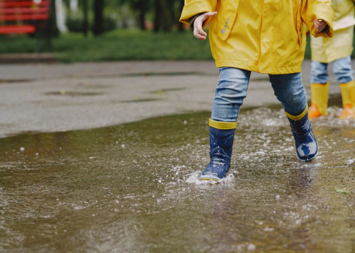 Genangan Air Musim Hujan Bisa Sebabkan Leptospirosis, Ini Cara Menghindarinya