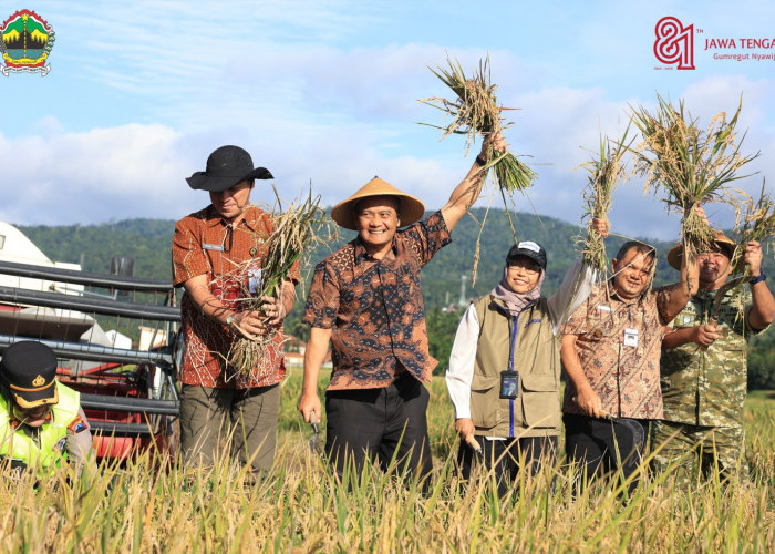 Hari Jadi Ke-81 Jateng: Dari Sawah Jawa Tengah untuk Meja Makan Indonesia