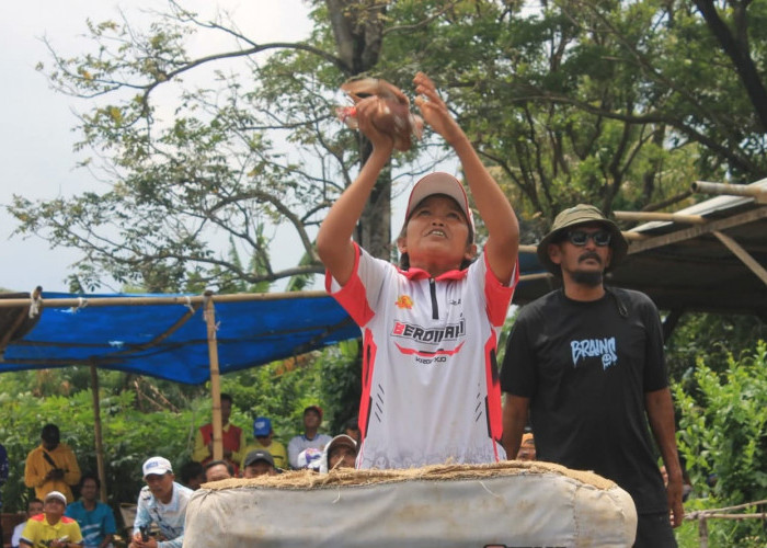 Membaca Watak Burung, Menempa Mental Juara: Kisah Haji Agus Berdikari Melahirkan Merpati Jawara