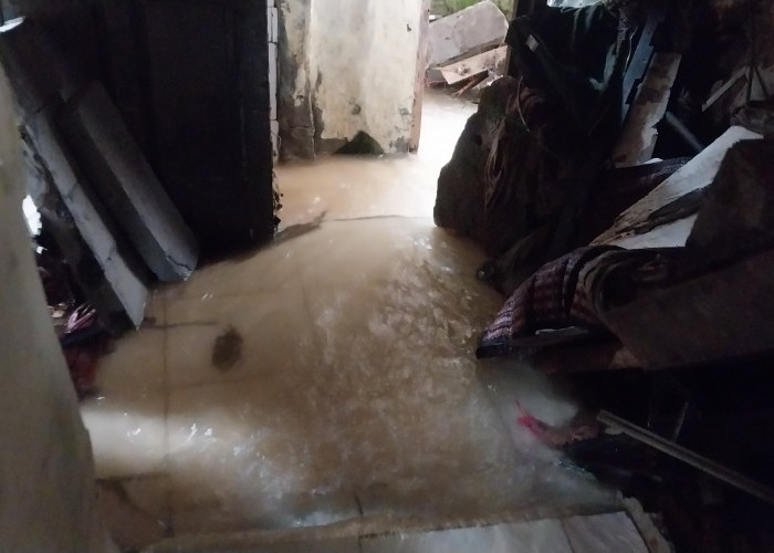Bencana Kepung Rawasedek, Rugi Material dan Sebabkan Korban Jiwa