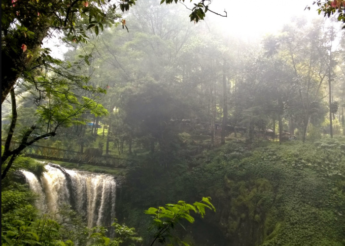 Hutan Raya Juanda Dago Bandung: Keajaiban Alam di Tengah Kota