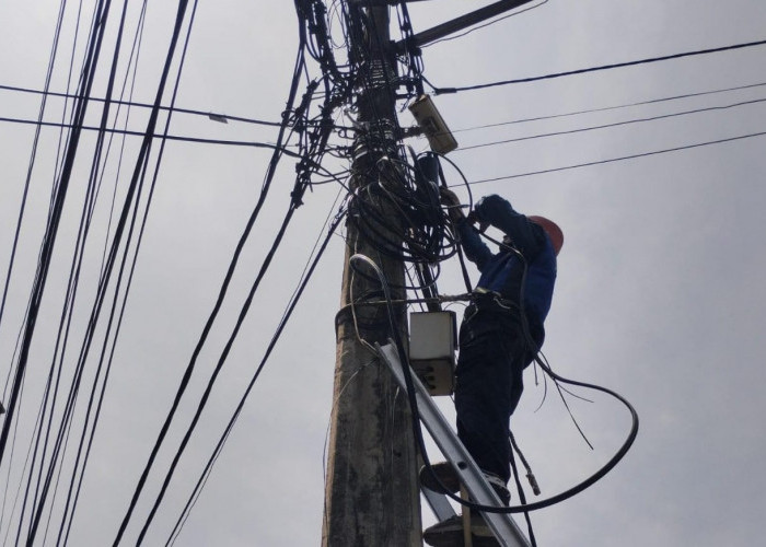 PLN Icon Plus dan Diskominfo  Kota Bandung Bekerja Sama untuk Perindah dan Tingkatkan Kualitas Lingkungan