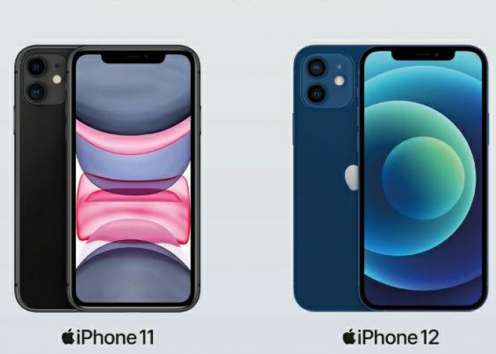 Perbandingan Iphone 11 vs Iphone 12, Manakah Yang Lebih Unggul?