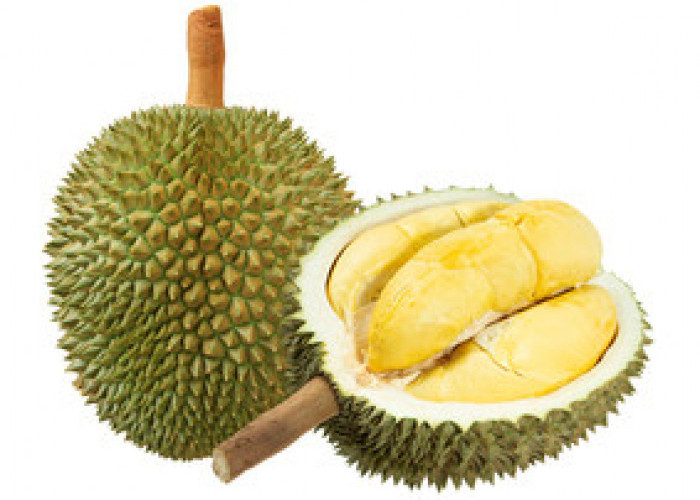 Mengungkap Kandungan Buah Durian dan 7 Dampak yang Akan Timbul dari Mengkonsumsi Buah Durian