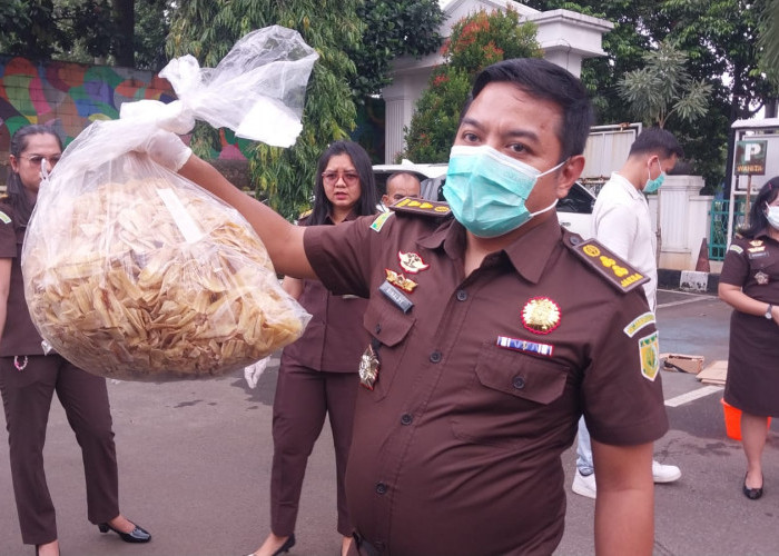 Kejaksaan Negeri Kabupaten Bogor Musnahkan Keripik Pisang yang Mengandung Zat Narkoba