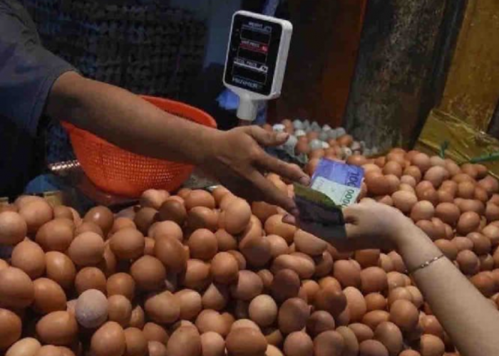 Beras dan Minyak Goreng Turun, Telur Ayam Naik Jadi Rp31.690 per Kg