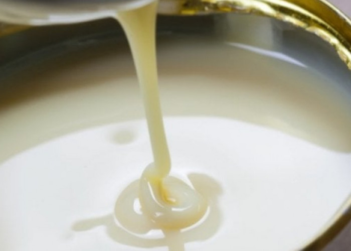 BGN Larang Susu Kental Manis di Menu MBG, Ini Jenis Susu yang Boleh Diberikan