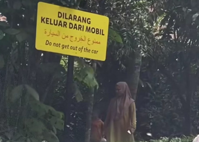 TSI Bogor Buka Suara Terkait Pengunjung yang Turun dari Mobil Saat Safari Journey