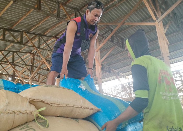PT Sumatraco Jadi Oase Kehidupan, Farikhin dan Calam Gantungkan Hidup dari Garam
