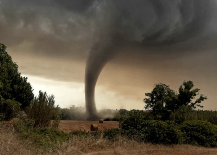 Januari-November, 1.652 Kejadian Bencana di Kabupaten Bogor