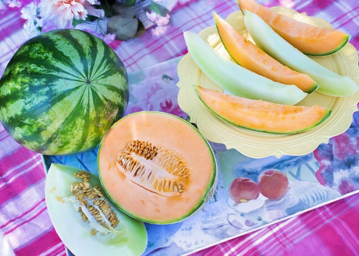 5 Manfaat Buah Melon yang Kaya Akan Vitamin dan Nutrisi    