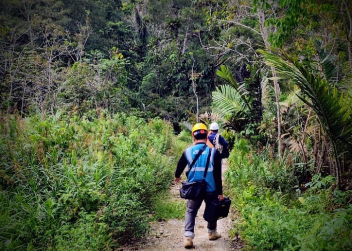 PLN Icon Plus Percepat Pemulihan Jaringan via Perbaikan Backbone di Batang Toru, Tapanuli Selatan