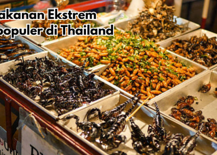 7 Makanan Ekstrem Terpopuler di Thailand, Ada Belalang dan Jangkrik Berani Coba?