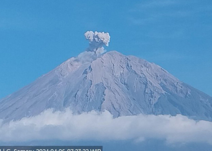 Gunung Semeru Erupsi hingga Semburkan Ratusan Meter Abu Vulkanik