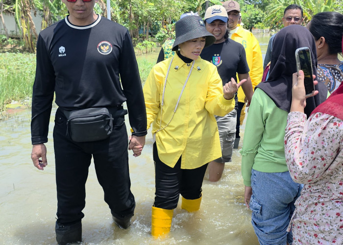 Dua Pekan Pantura Terendam, Elita Budiati Desak Penanganan Permanen Sinergi Pemda dan Pusat