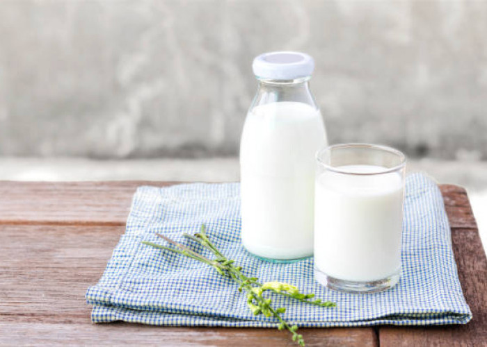 Kaya Nutrisi! 7 Manfaat Susu Kambing untuk Kesehatan yang Jarang Dikatahui