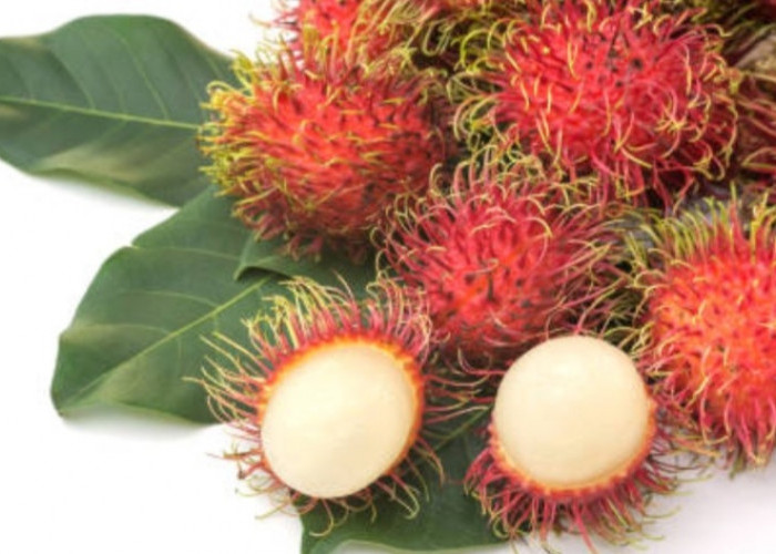 6 Manfaat Luar Biasa Buah Rambutan yang Jarang Diketahui