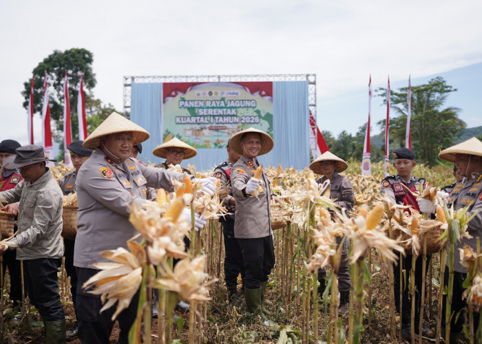 Polres Cimahi Genjot Ketahanan Pangan, Targetkan Penanaman Jagung 1.700 Hektare di Bandung Barat