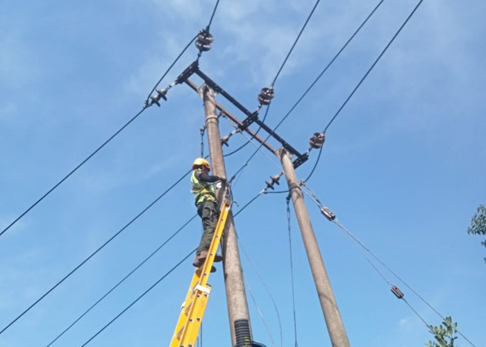 PLN Icon Plus Lakukan Penataan dan Pemeliharaan Aset Ketenagalistrikan di Pakenjeng Garut