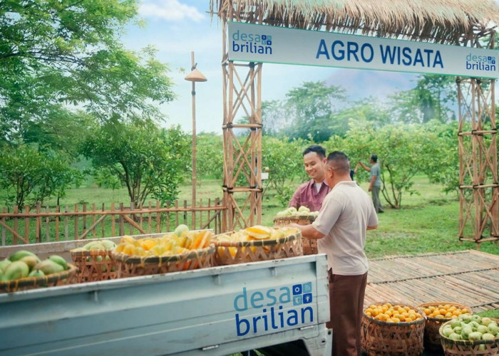 BRI dan Unsoed Resmi Mulai Desa BRILiaN 2026, Dorong Desa Jadi Pusat Pertumbuhan Ekonomi Baru