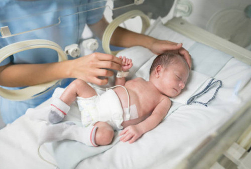 Cara Daftar Kepesertaan BPJS Kesehatan untuk Bayi Baru Lahir, Berikut Syarat yang Harus Dipenuhi