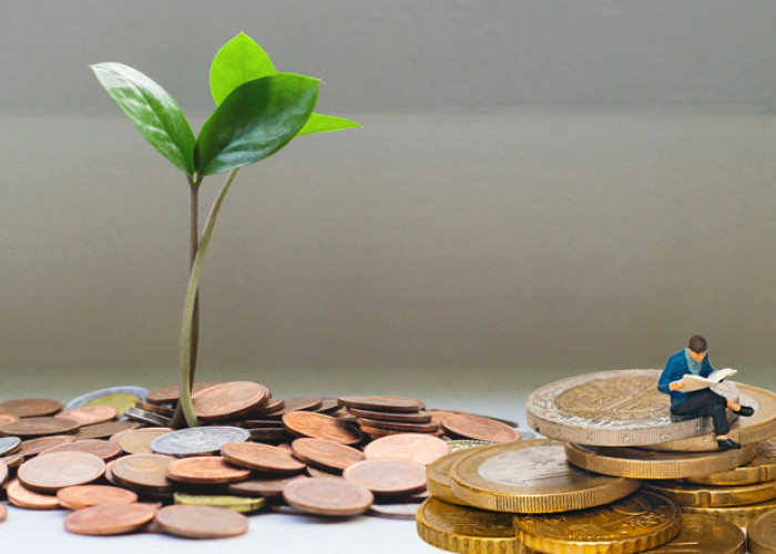 5 Strategi Mengatur Keuangan, Pahami Dulu Filosofi Uang