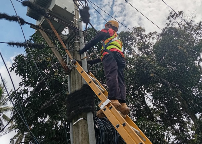 PLN Icon Plus Lakukan P3AK di Kecamatan Cimalaka untuk Jaga Keandalan Jaringan
