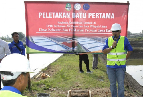 DKP Jabar Rehabilitasi Tambak 7.000 m2