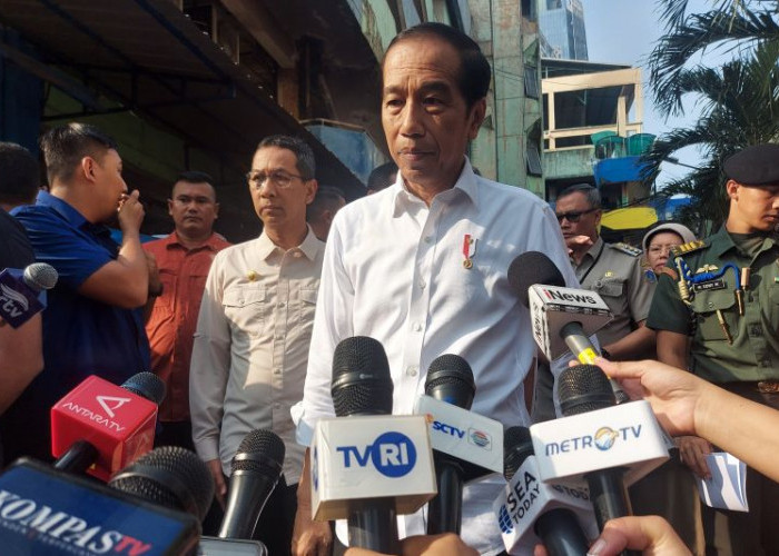 Presiden Jokowi Akan Mendistribusikan 38 Sapi ke Tiap Provinsi