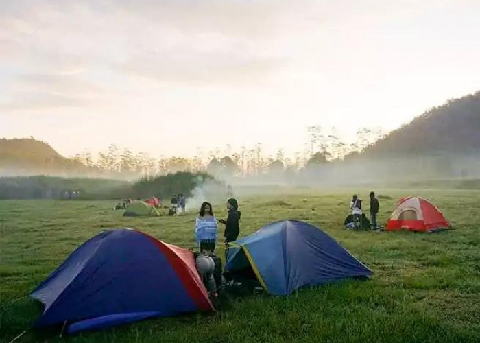 Mau Tahu Serunya Camping di Ranca Upas Ciwidey? Yuk, Simak Review dan Harga Tiketnya!