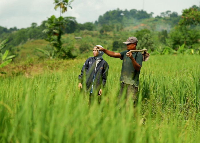 BRI Salurkan KUR Rp144 Triliun kepada 2,76 Juta Debitur, Jadi Motor Penggerak Sektor Produktif dan UMKM 
