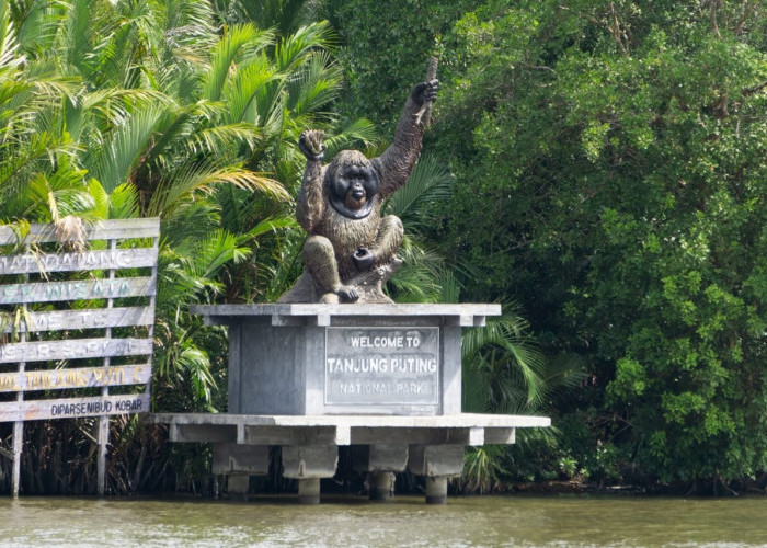 5 Fakta Menarik tentang Taman Nasional Tanjung Puting