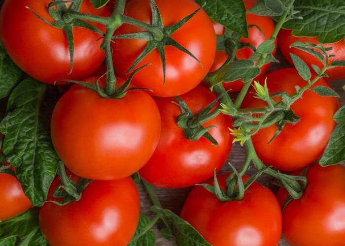 Apakah Tomat Baik untuk Wajah Berjerawat? Berikut Faktanya!